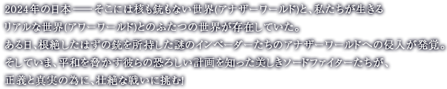 2024年の日本─そこには核も銃もない世界(アナザーワールド)と、私たちが生きるリアルな世界(アワーワールド)とのふたつの世界が存在していた。ある日、根絶したはずの銃を所持した謎のインベーダーたちのアナザーワールドへの侵入が発覚。そしていま、平和を脅かす彼らの恐ろしい計画を知った美しきソードファイターたちが、正義と真実の為に、壮絶な戦いに挑む！